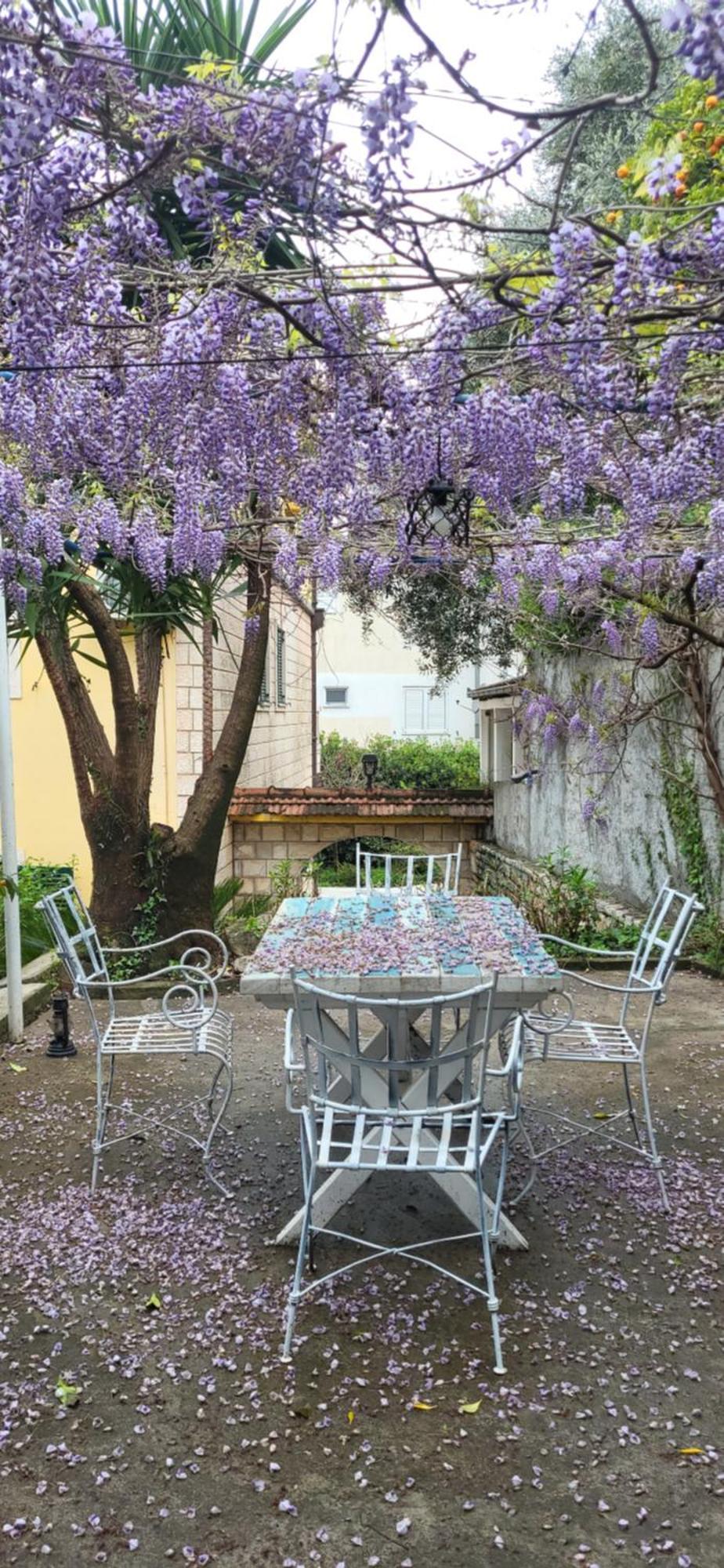 Studio Apartman Meljine Esterno foto